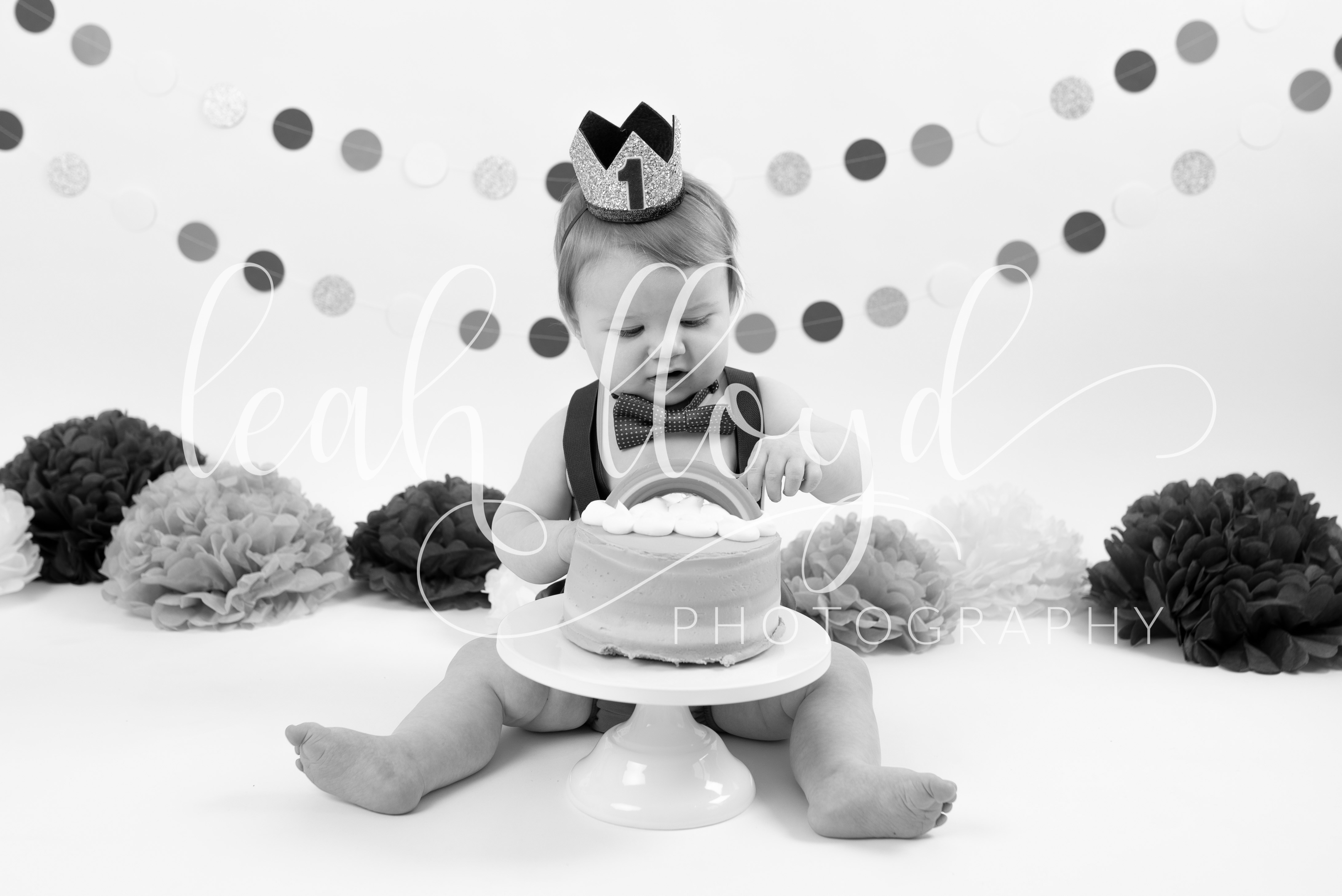 Cake Smash185 Leah Lloyd Photography