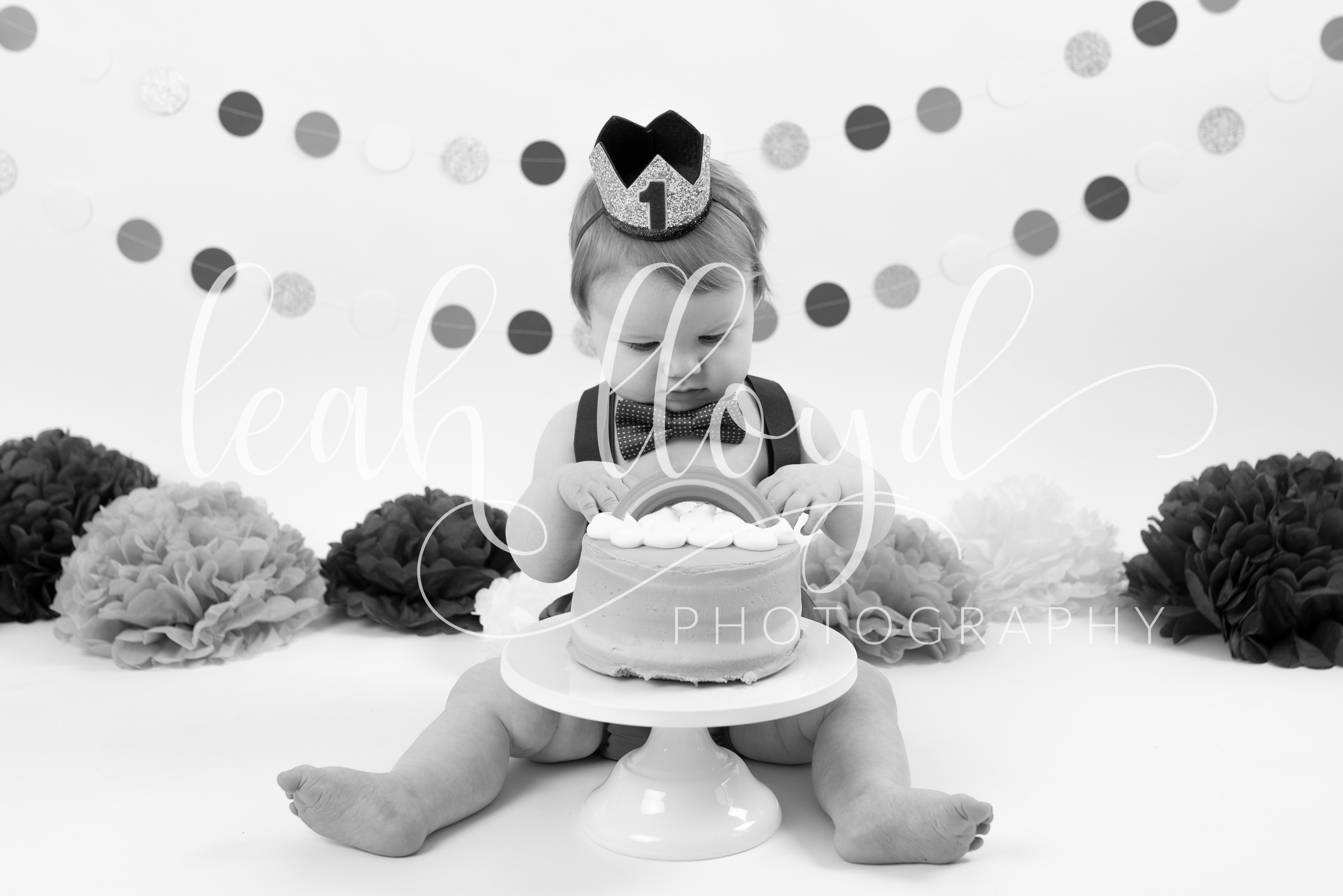 Cake Smash186 Leah Lloyd Photography